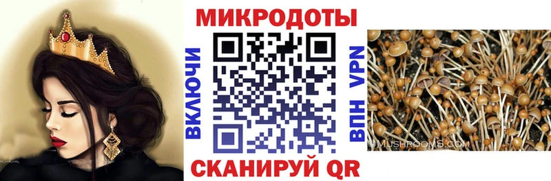 МЕГА как войти Лаишево Псилоцибиновые грибы ЛСД дарнет шоп